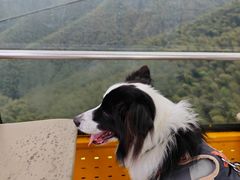 -萍乡武功山风景名胜区