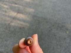 -三门江国家森林公园