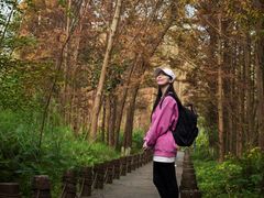 -桤木河湿地公园