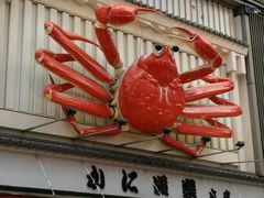 -蟹道乐(道顿堀本店)