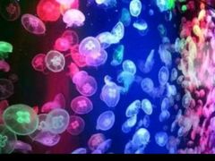 -多彩贵州城极地海洋世界