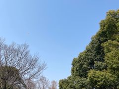 -上海滨江森林公园