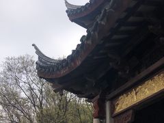 -长广溪湿地公园
