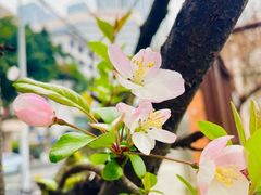 -成都市活水公园