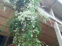 -广州市紫泥堂文化创意园景区