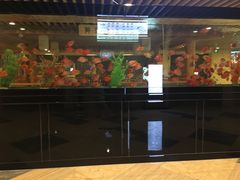 -玲珑汤泉生活会馆(花桥店)