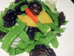 -大树餐厅(益田假日店)