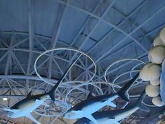 -烟台海昌鲸鲨海洋公园