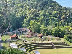 -龙岩森林水乡景区
