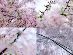 -龙美术馆(西岸馆)