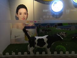 -孩子王(巴南万达广场店)