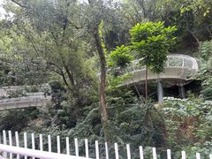 -金鸡山公园