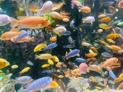 -太平洋海底世界