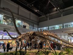 -自贡恐龙博物馆