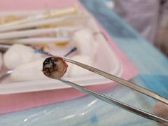 -新达口腔(华东理工大学店)