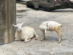 -广州长隆飞鸟乐园