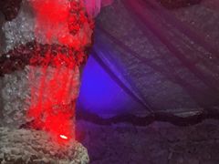 -水晶之星洗浴温泉汗蒸