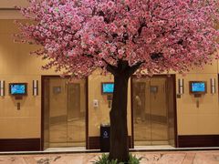 -广州花园酒店