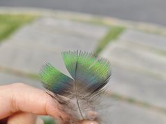 -西昌邛海宾馆