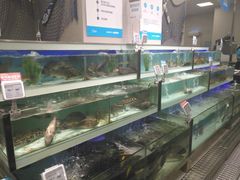 -盒马渔市(平高企业集团·平高广场店)