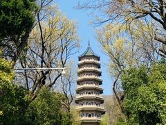 -灵谷景区