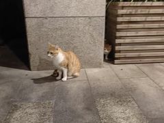 -上海怡沁园度假酒店