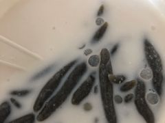 -文昌邓记清补凉(西沙路店)