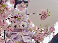 -上海辰山植物园