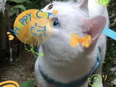 -萌兽医馆·犬猫专科·眼科中心·宠物医院(朝阳门分院)
