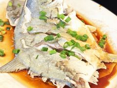清蒸金仓鱼-巽寮印象美食部落餐厅·海鲜·地方特色菜(惠州体验店)
