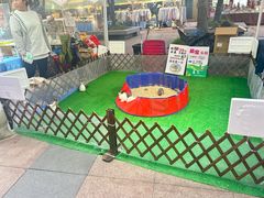 -证大大拇指广场(芳甸路店)