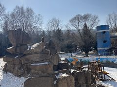 -青藏高原野生动物园