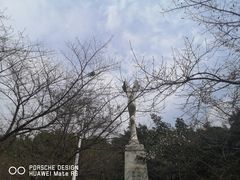 -武汉大学-樱园