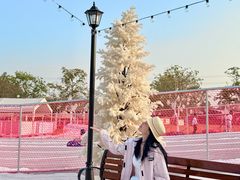 -盈香心动乐园
