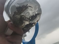 -碧桂园十里银滩