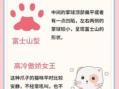 -唐小姐の私宠·宠物洗护美容·撸猫馆·购宠(周浦万达旗舰店)