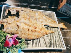 -道乐烧肉酒馆