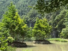 -刘伯温故里景区百丈漈