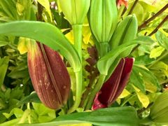 -外滩二十二号艺术中心