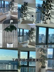 -HEYAN荷妍专业脱毛连锁机构