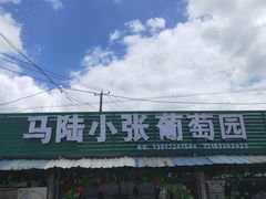 -马陆小张葡萄园农家乐