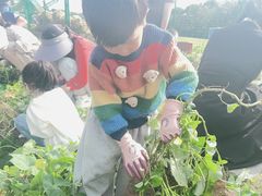 -季高兔窝窝亲子园(上海薰衣草公园店)