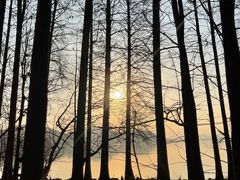 -东湖落雁景区