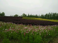 -梁鸿国家湿地公园
