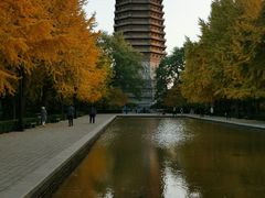 -玲珑塔公园