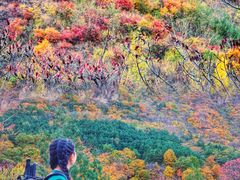 -云岫谷自然风景区