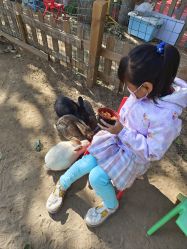 -浅山蜜塘奇妙乐园·亲子营地