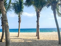 -玫瑰海岸文化旅游度假区