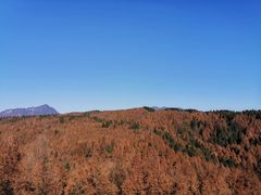 -山王坪喀斯特国家生态公园