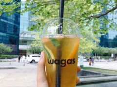 -Wagas沃歌斯(环贸店)